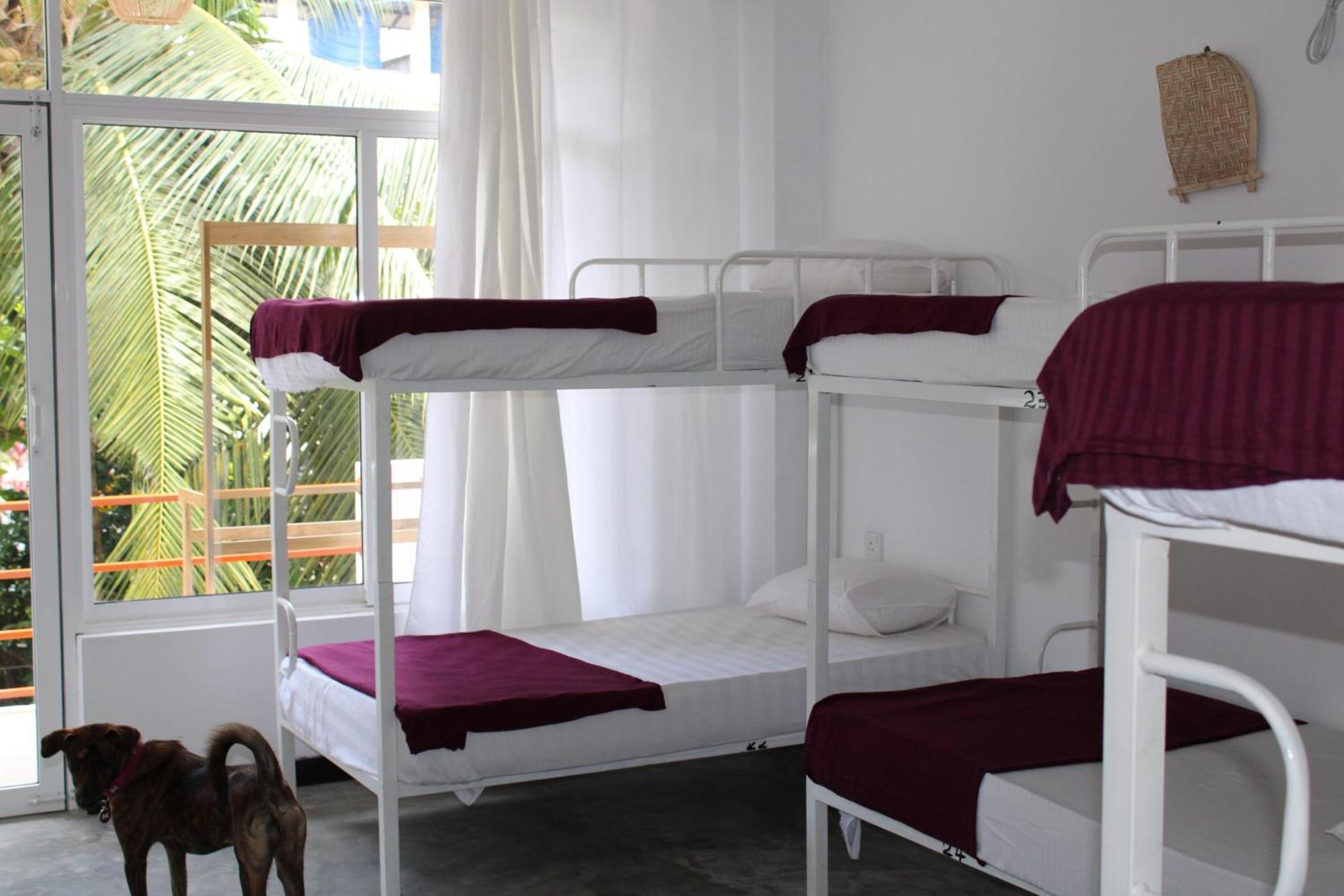 Sun & Moon Hostel Mirissa Exteriér fotografie